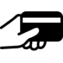 icons8 oplata 100