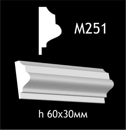 М251