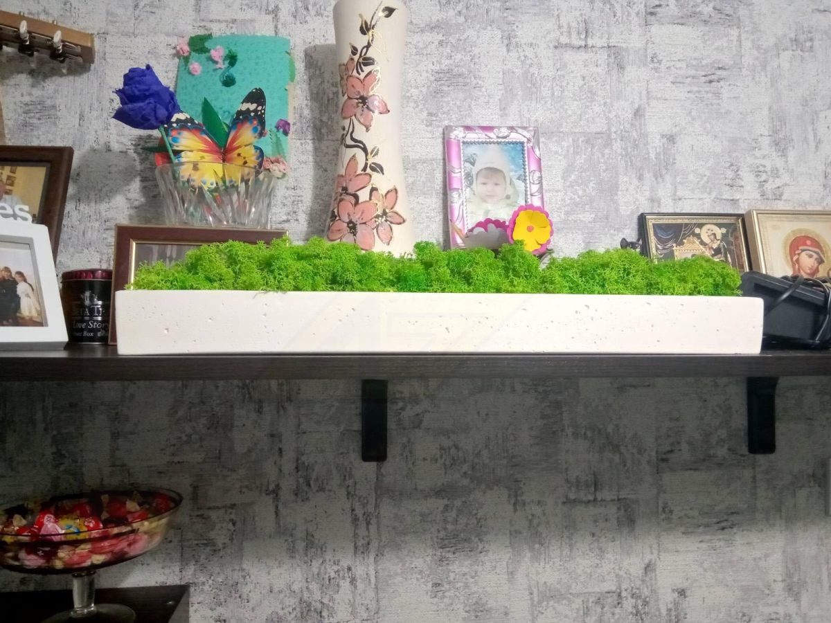 Стабилизированный мох в кашпо из гипса White — изображение 2