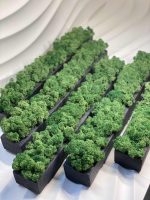 Кашпо из гипса с стабилизированным мхом Black 500х70х50мм — изображение 3