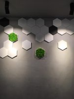 Стабилизированный мох ягель  в сотах из гипса — изображение 6