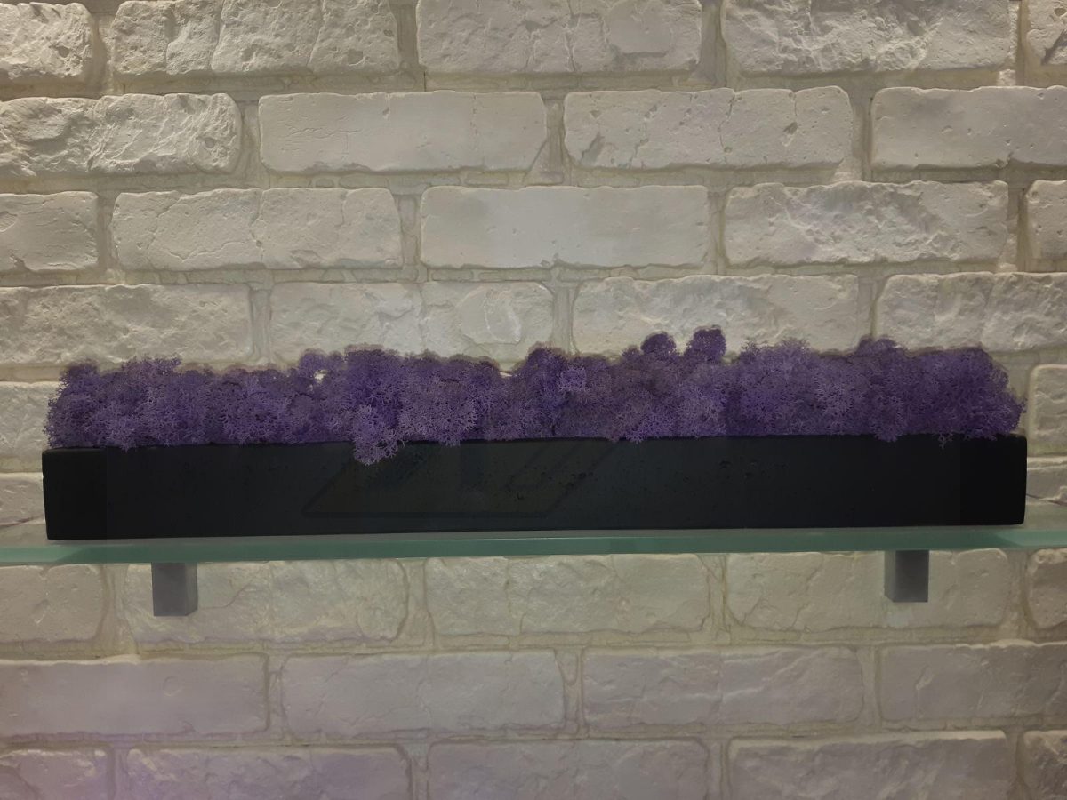 Кашпо с стабилизированным мхом 500х70х50мм – ручной работы — изображение 6