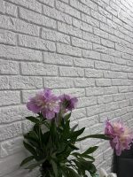 Гипсовый кирпич Австрийский 0,5 м2 33 шт. — изображение 2