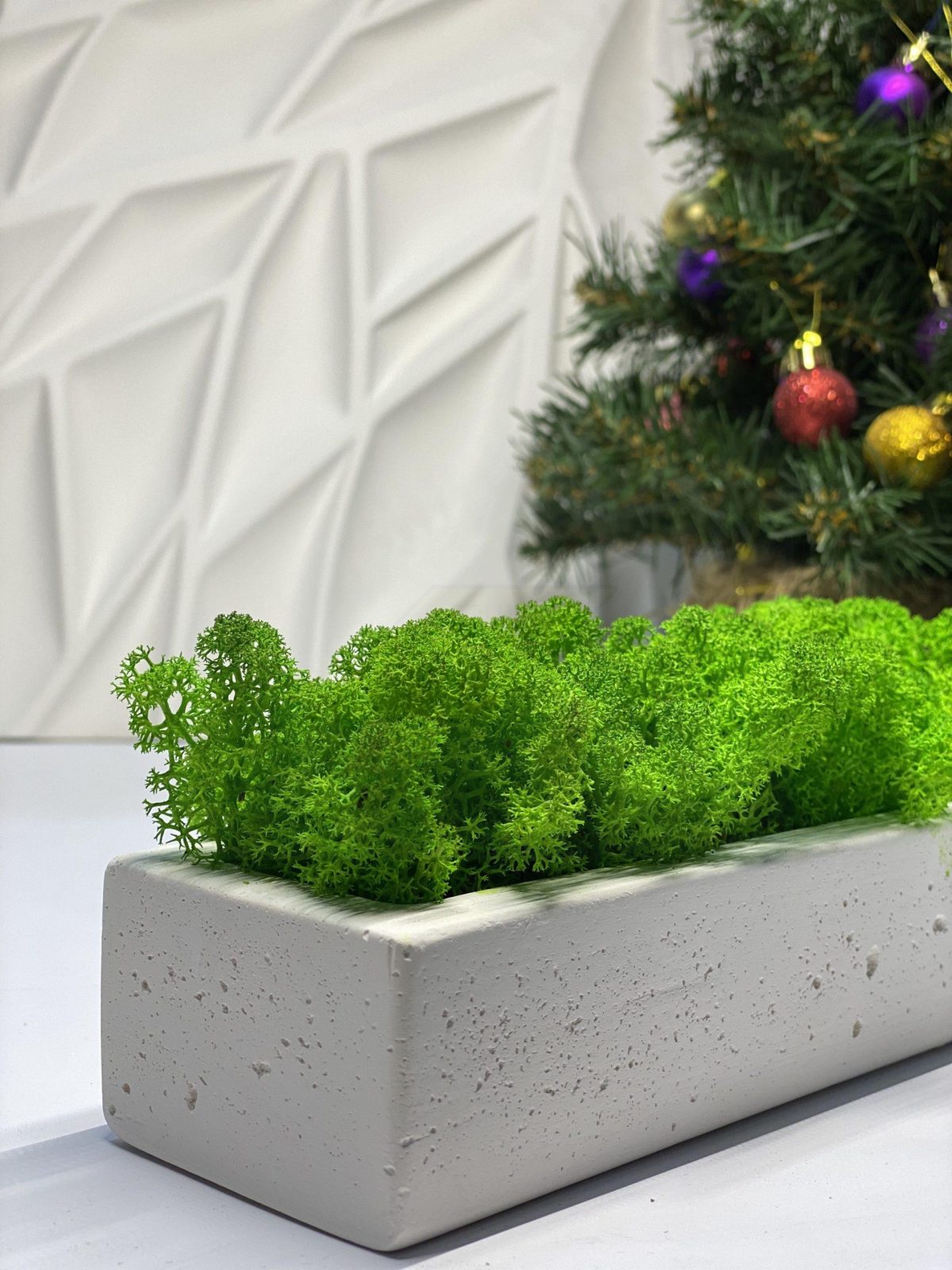 Стабилизированный мох в кашпо из гипса White — изображение 5