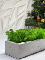 Стабилизированный мох в кашпо из гипса White — изображение 5