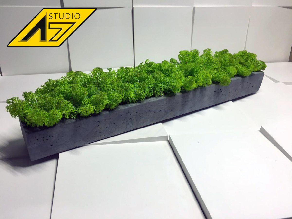 Кашпо из гипса с скандинавским мхом ягель Gray 500х70х50мм — изображение 3