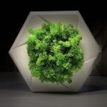 Гипсовая 3Д панель Сота Диафрагма с мхом