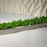 Стабилизированный мох в кашпо из гипса White