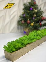 Стабилизированный мох в кашпо Gold-Green 500х70х50мм — изображение 2