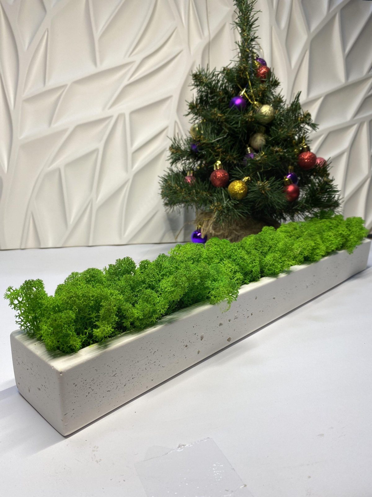 Стабилизированный мох в кашпо из гипса White — изображение 3