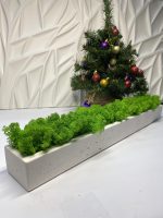 Стабилизированный мох в кашпо из гипса White — изображение 3