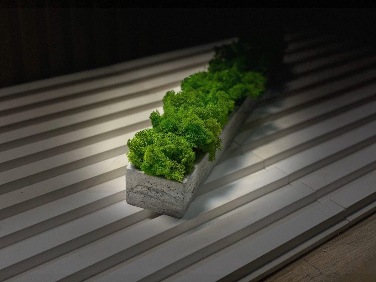 Кашпо из гипса с скандинавским мхом ягель Gray 500х70х50мм — изображение 2