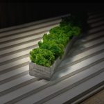 Кашпо из гипса с скандинавским мхом ягель Gray 500х70х50мм