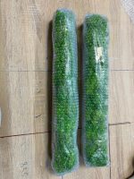 Стабилизированный мох в кашпо Gold-Black 500х70х50мм — изображение 2