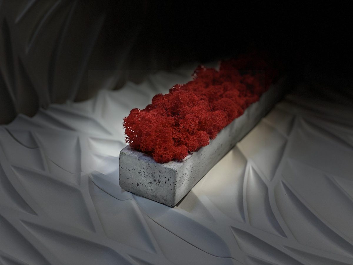 Мох в бетонном кашпо Red Moss 500х70х50мм – ручной работы — изображение 3