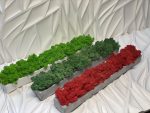 Мох в бетонном кашпо Red Moss 500х70х50мм – ручной работы — изображение 4