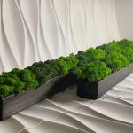 Деревянное кашпо с стабилизированным мхом 1500х100х70 мм