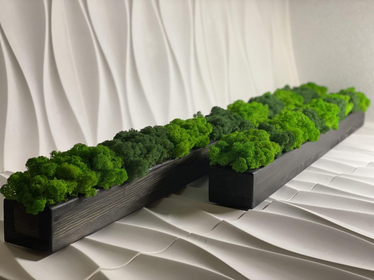 Деревянное кашпо с стабилизированным мхом 1000х100х70мм — изображение 3