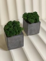 Кашпо из бетона с стабилизированным мхом "Куб"100х100мм (ручная работа) — изображение 2