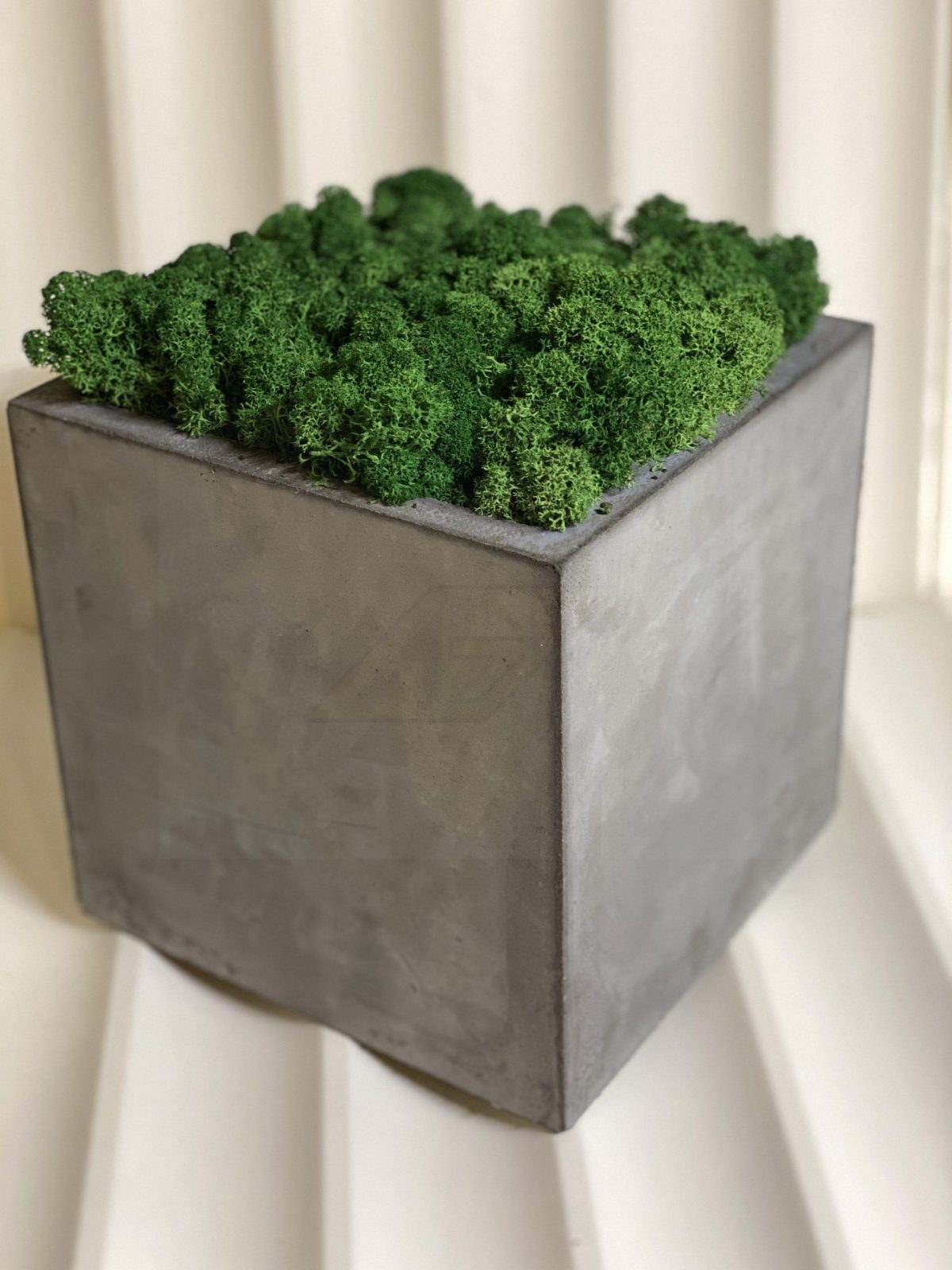 Кашпо из бетона с стабилизированным мхом "Куб" 150х150х150мм — изображение 2