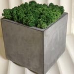 Кашпо из бетона с стабилизированным мхом "Куб" 150х150х150мм