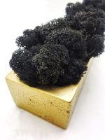 Стабилизированный мох в кашпо Gold-Black 500х70х50мм — изображение 5