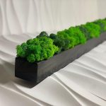 Деревянное кашпо с стабилизированным мхом 1000х100х70мм