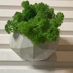 Кашпо с стабилизированным мхом 100х65мм