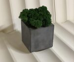 Кашпо из бетона с стабилизированным мхом "Куб"100х100мм (ручная работа)