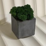 Кашпо из бетона с стабилизированным мхом "Куб"100х100мм (ручная работа)