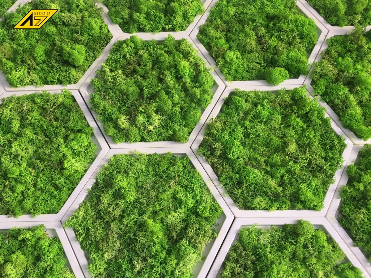 Стабилизированный мох ягель  в сотах из гипса — изображение 4