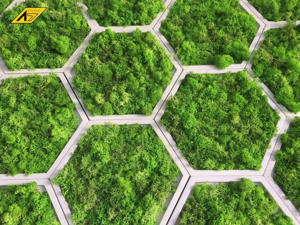 Стабилизированный мох ягель  в сотах из гипса — изображение 4